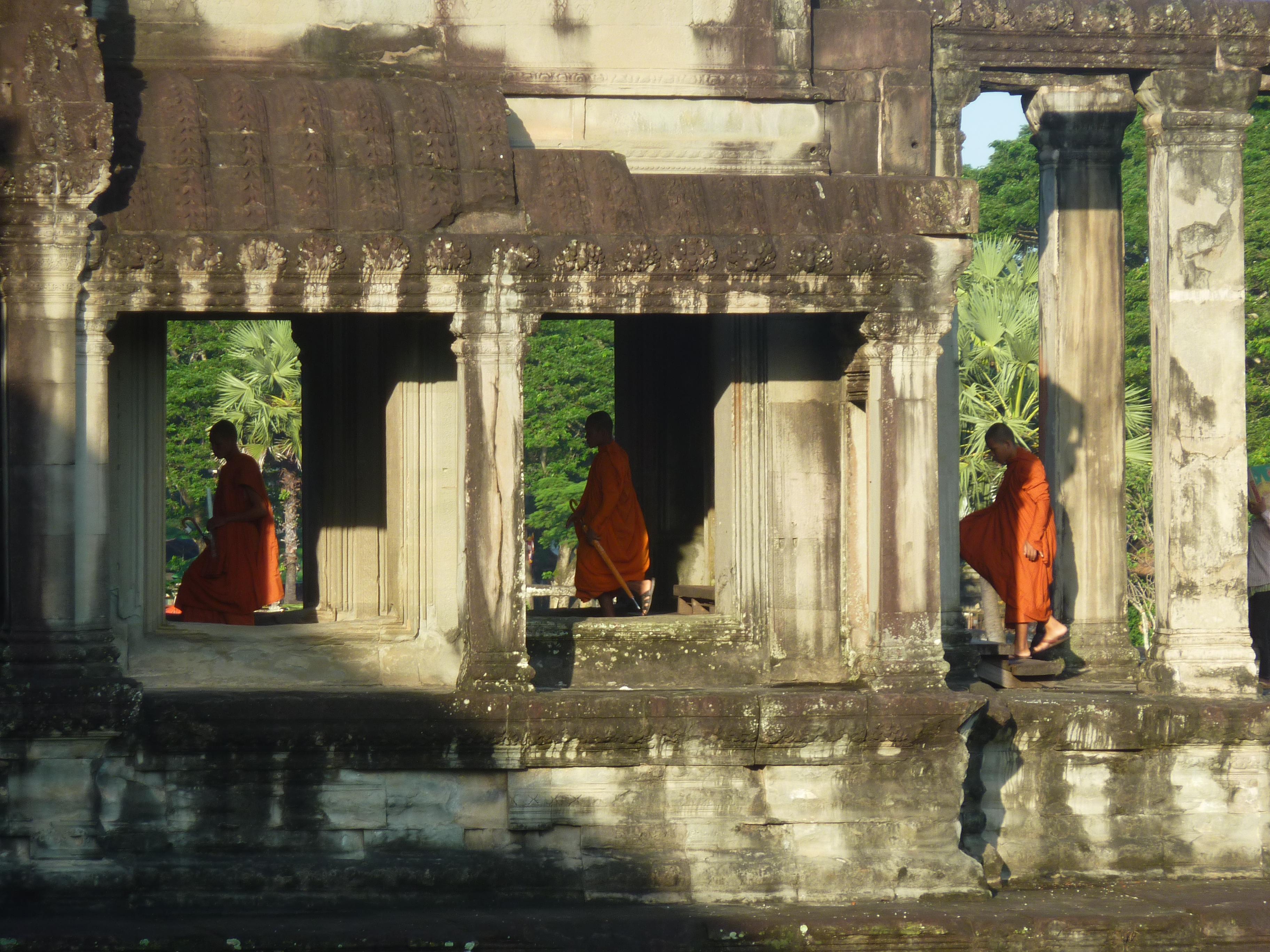 One group with whom I had no problem sharing the sights.