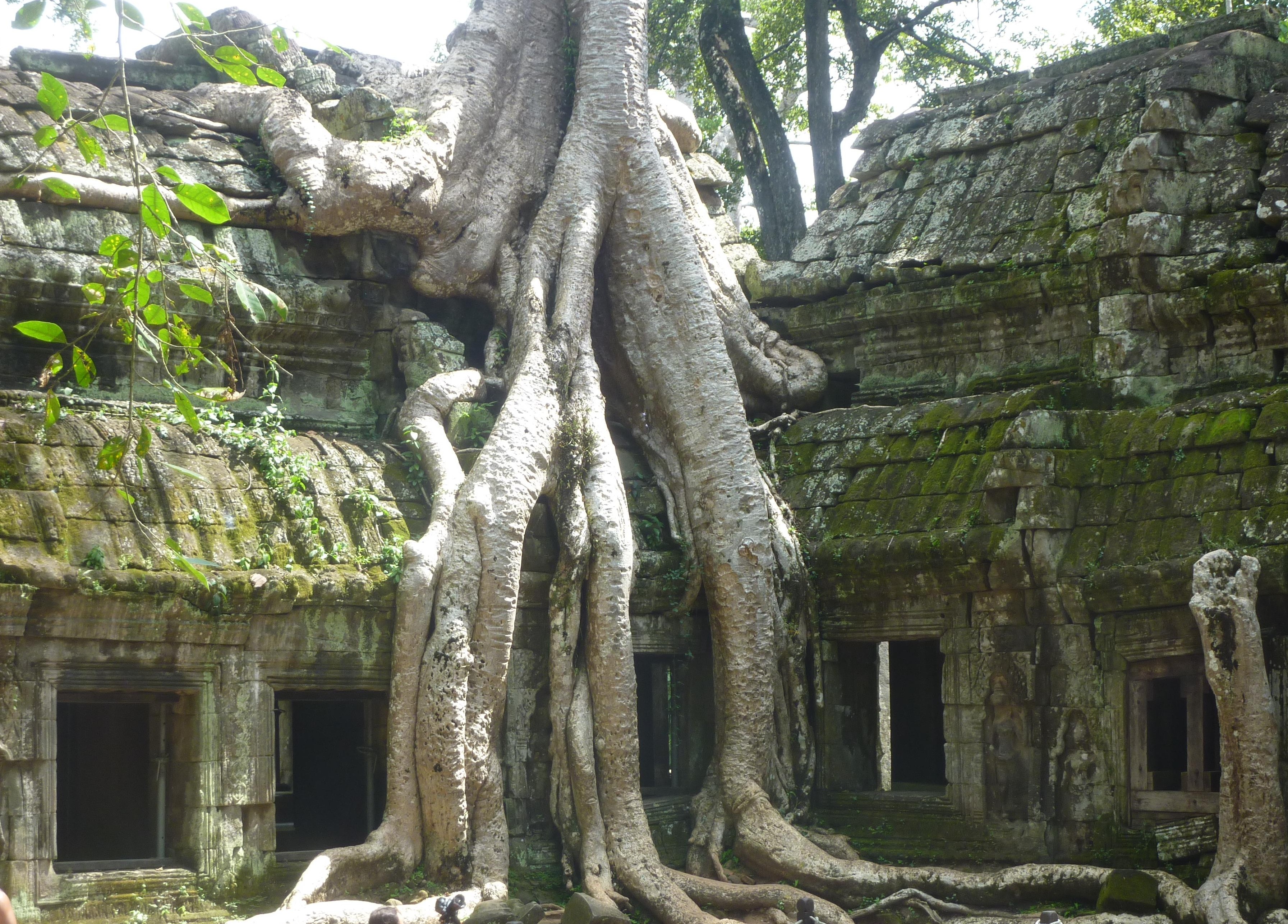 Ta Prohm aka The Tomb Raider Temple