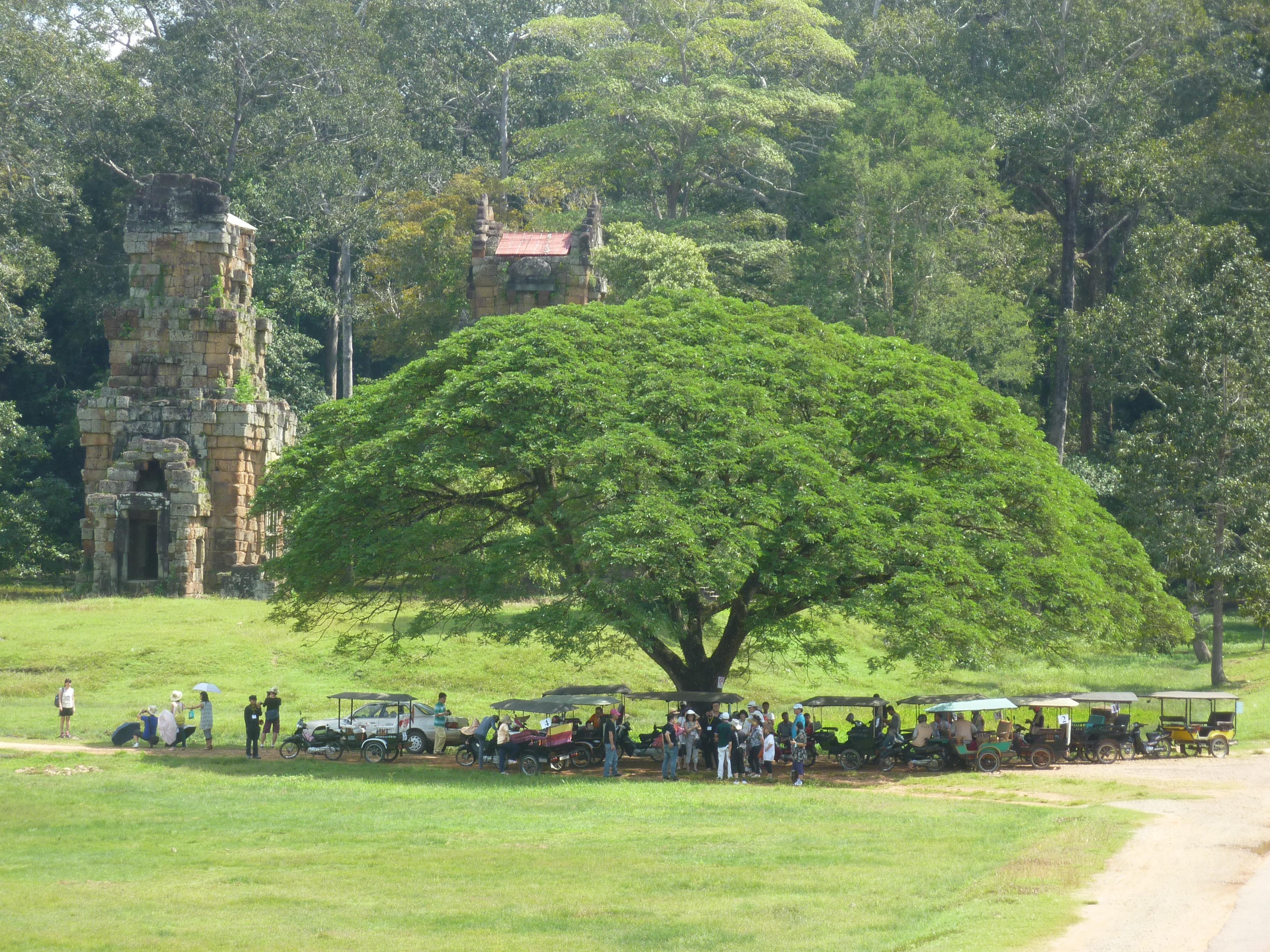Tuk tuk drivers finding a spot of shade in the park.